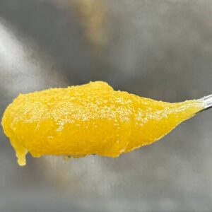 Grape Ape Live Resin Badder