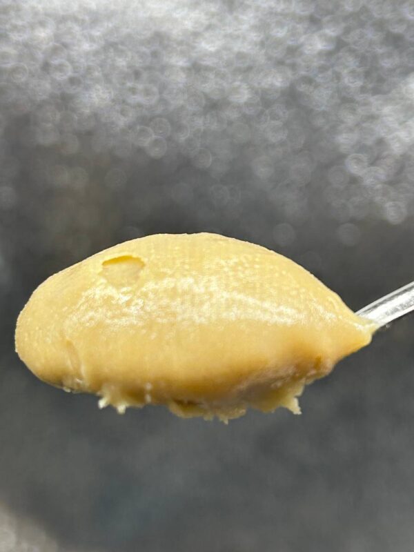 White Runtz Live Rosin