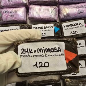 24k X Mimosa 120u Premium Hashish