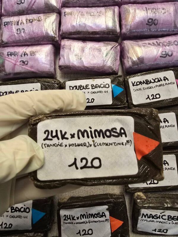 24k X Mimosa 120u Premium Hashish