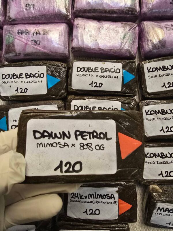 Dawn Petrol 120u premium hashish