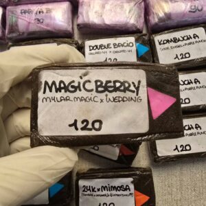 Magic Berry 120u Premium Hashish