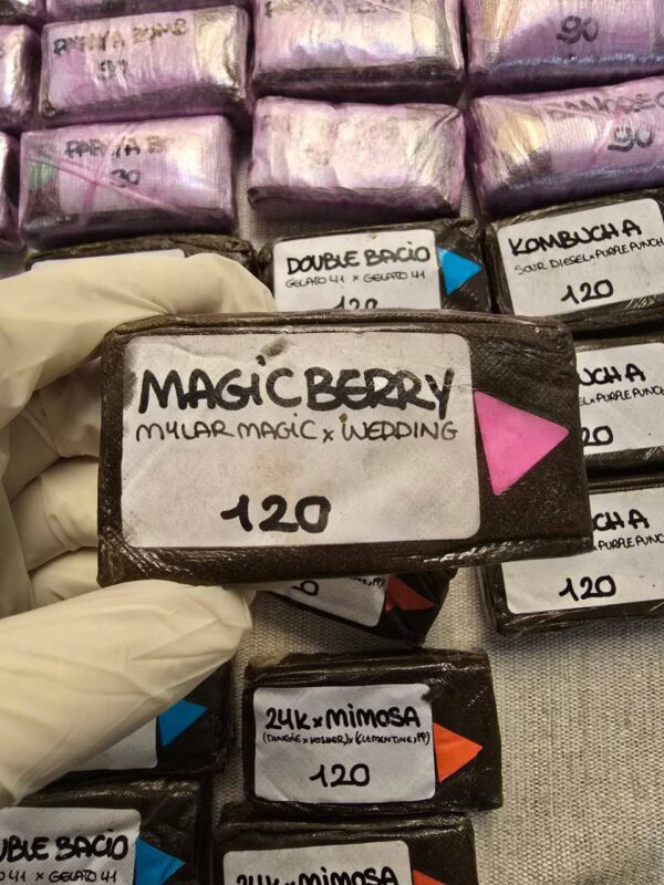 Magic Berry 120u Premium Hashish