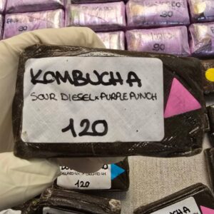 KOMBUCHA 120u Premium Hashish
