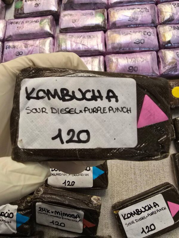 KOMBUCHA 120u Premium Hashish