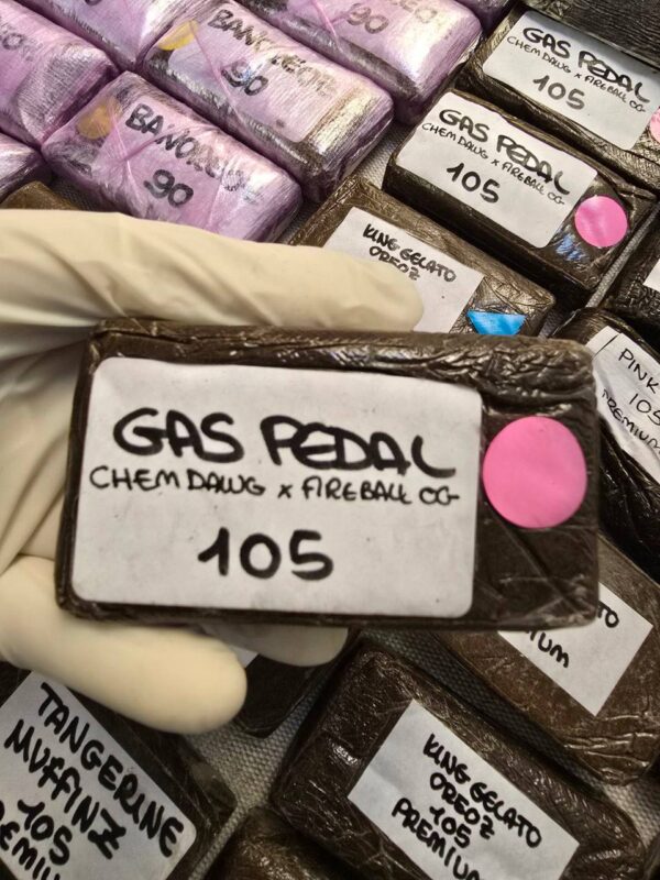 Gas Pedal 105 premium Hashish