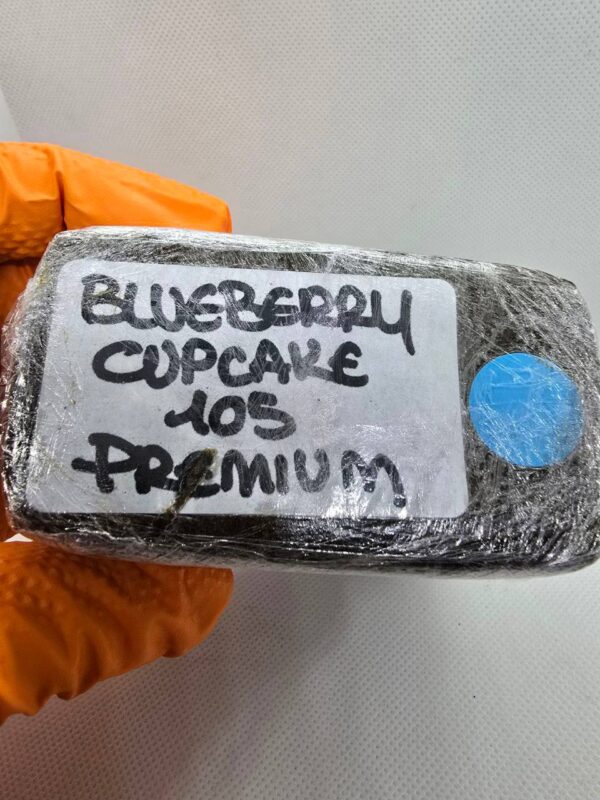 Blueberry Cupcake 105 premium Hashish
