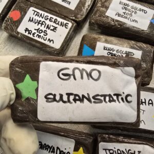 GMO Sultan Static premium Hash