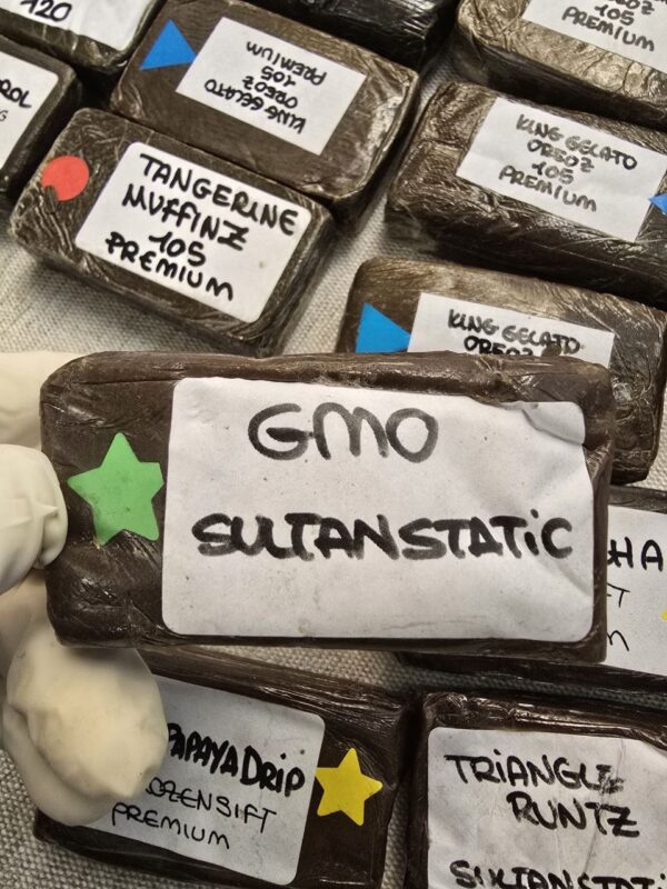 GMO Sultan Static premium Hash