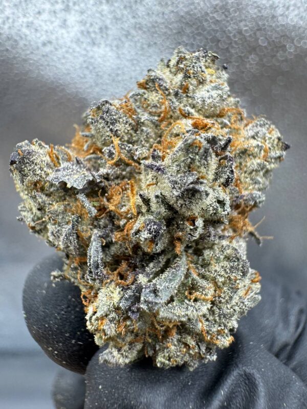 Blue Dream Pie (Hybrid)
