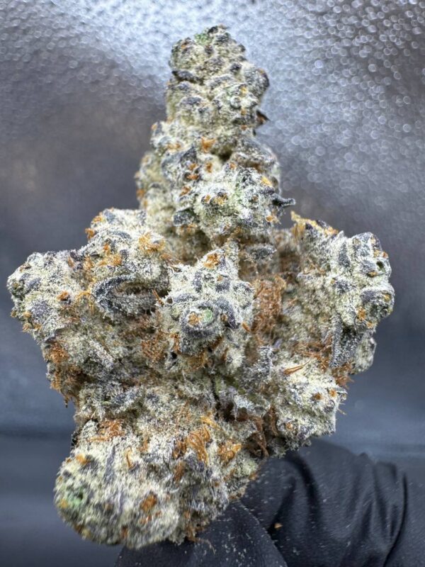 Dante’s Wrath (Indica)