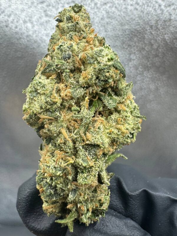 Dirty Taxi THCA Flower