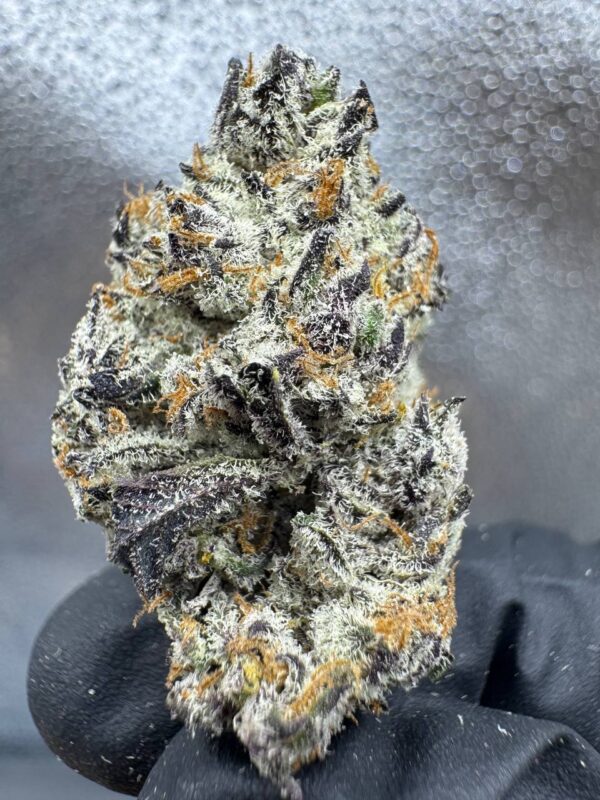 Gary Payton thc flower